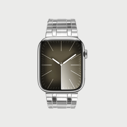 Stainless Steel Full Magnetic Band