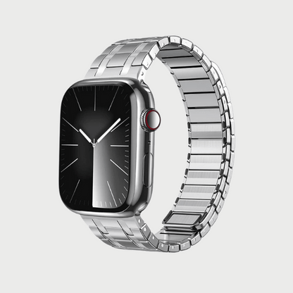 Stainless Steel Full Magnetic Band