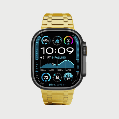 RoyalLink™ Stainless Steel Band