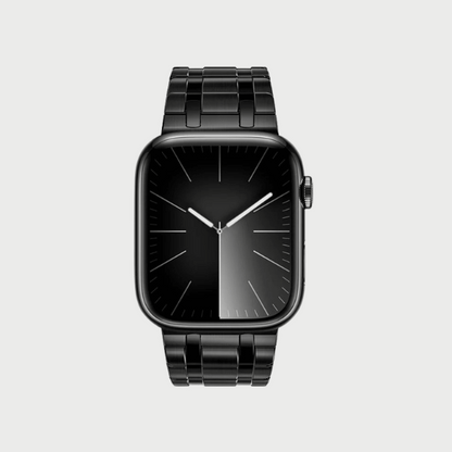 Stainless Steel Full Magnetic Band